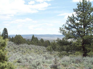 #1: View of Confluence Site