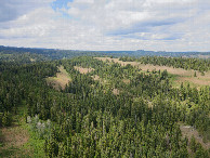 #8: View North, from 120m above the point