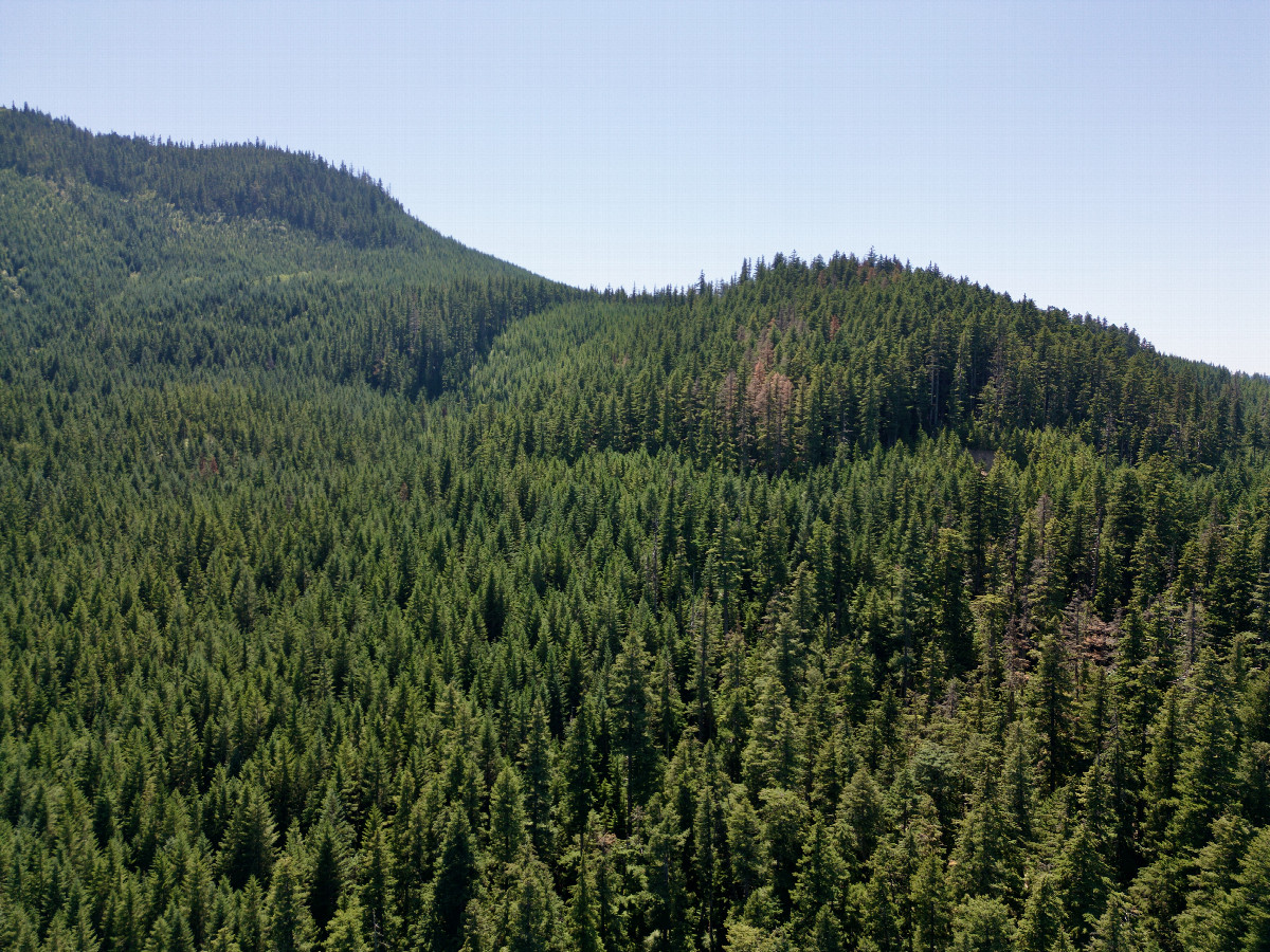 View West, from 120m above the point