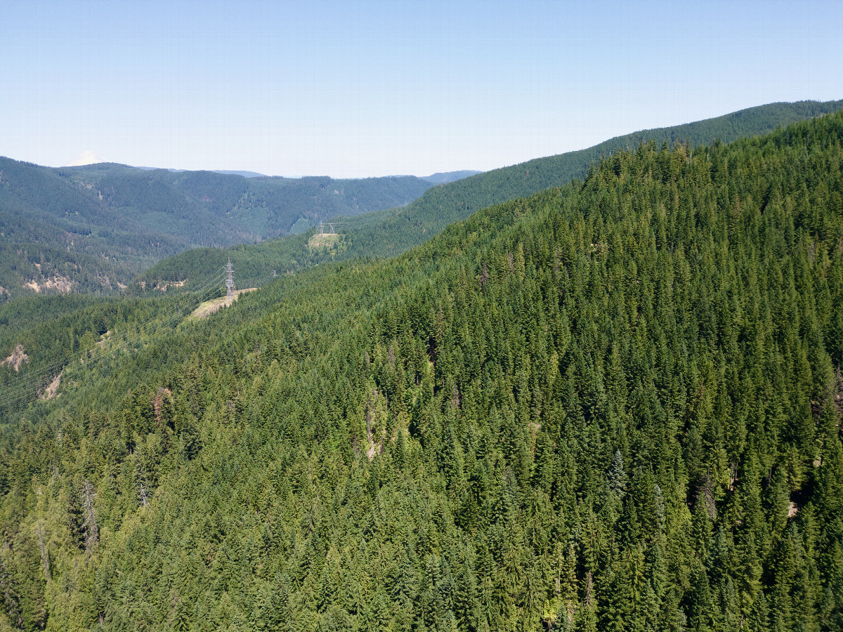 View East, from 120m above the point