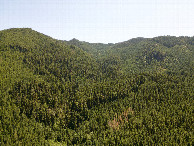 #10: View South, from 120m above the point