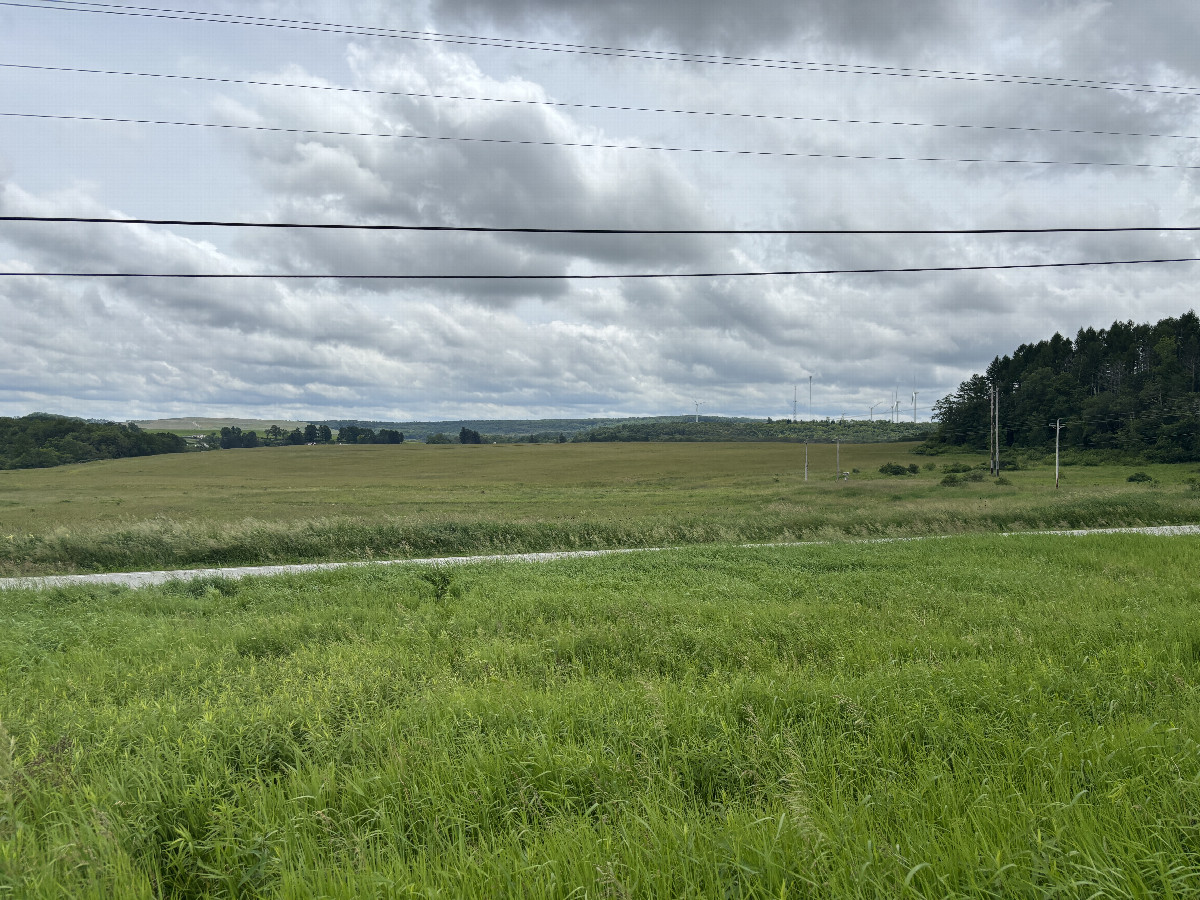A view to the south from the confluence point.
