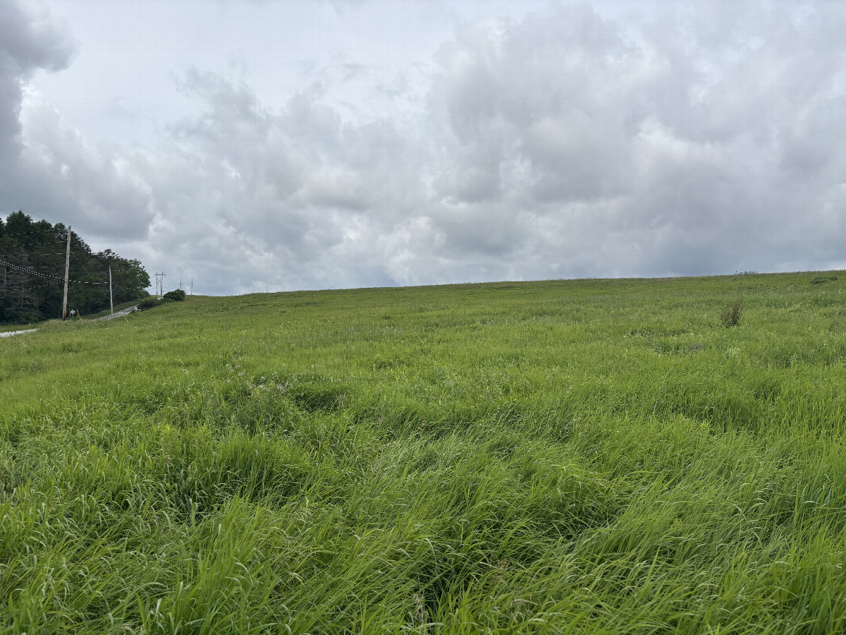 A view to the west from the confluence point.