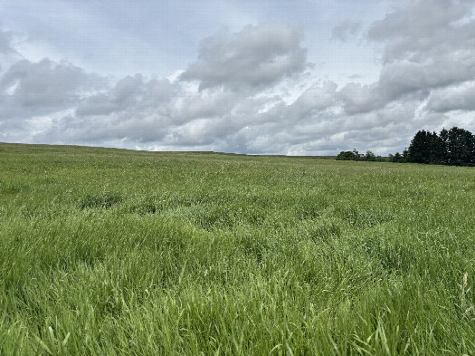 #1: Site of the confluence point in the foreground, looking north east.  