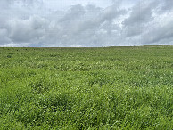 #2: A view to the north from the confluence point.  