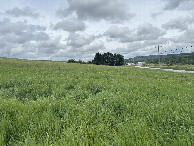 #3: A view to the east from the confluence point.