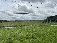 #4: A view to the south from the confluence point.