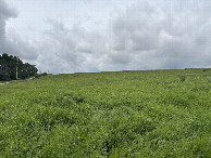 #5: A view to the west from the confluence point.
