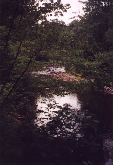 Stream near confluence