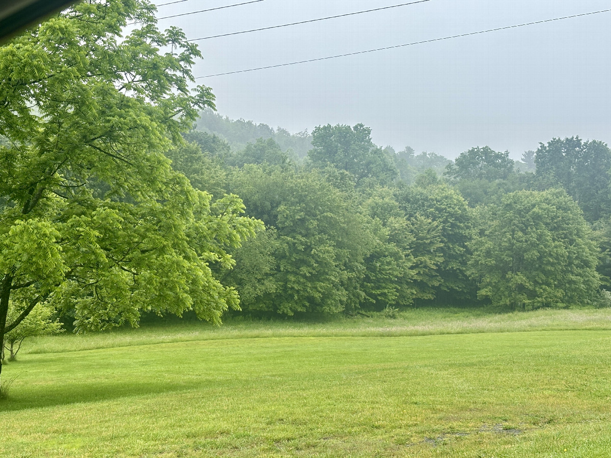 With respect to the landowner, I am not including a photo looking north from the site, but rather a photo looking from the road to the south that includes the point in the distance.