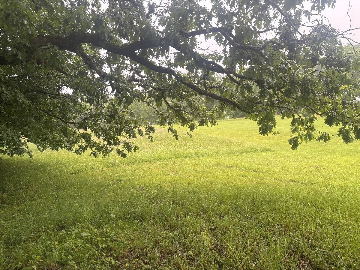 Looking south west from the confluence point. 