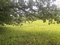 #5: Looking south west from the confluence point. 
