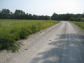 #8: GPSr in road near confluence