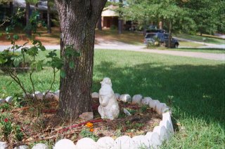 #1: Bradford pear tree at 111 Allen Ct. guarded by garden statue