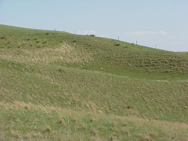 South Dakota-Nebraska fence line, looking south from confluence.