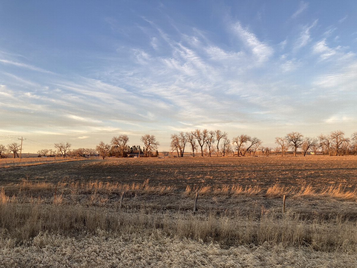 Looking north from the confluence