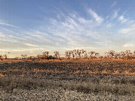 #2: Looking north from the confluence