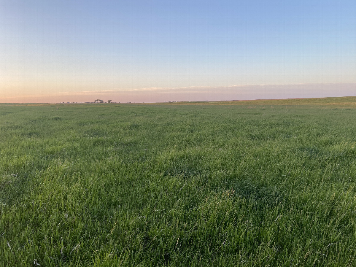 View to the north from the confluence point. 