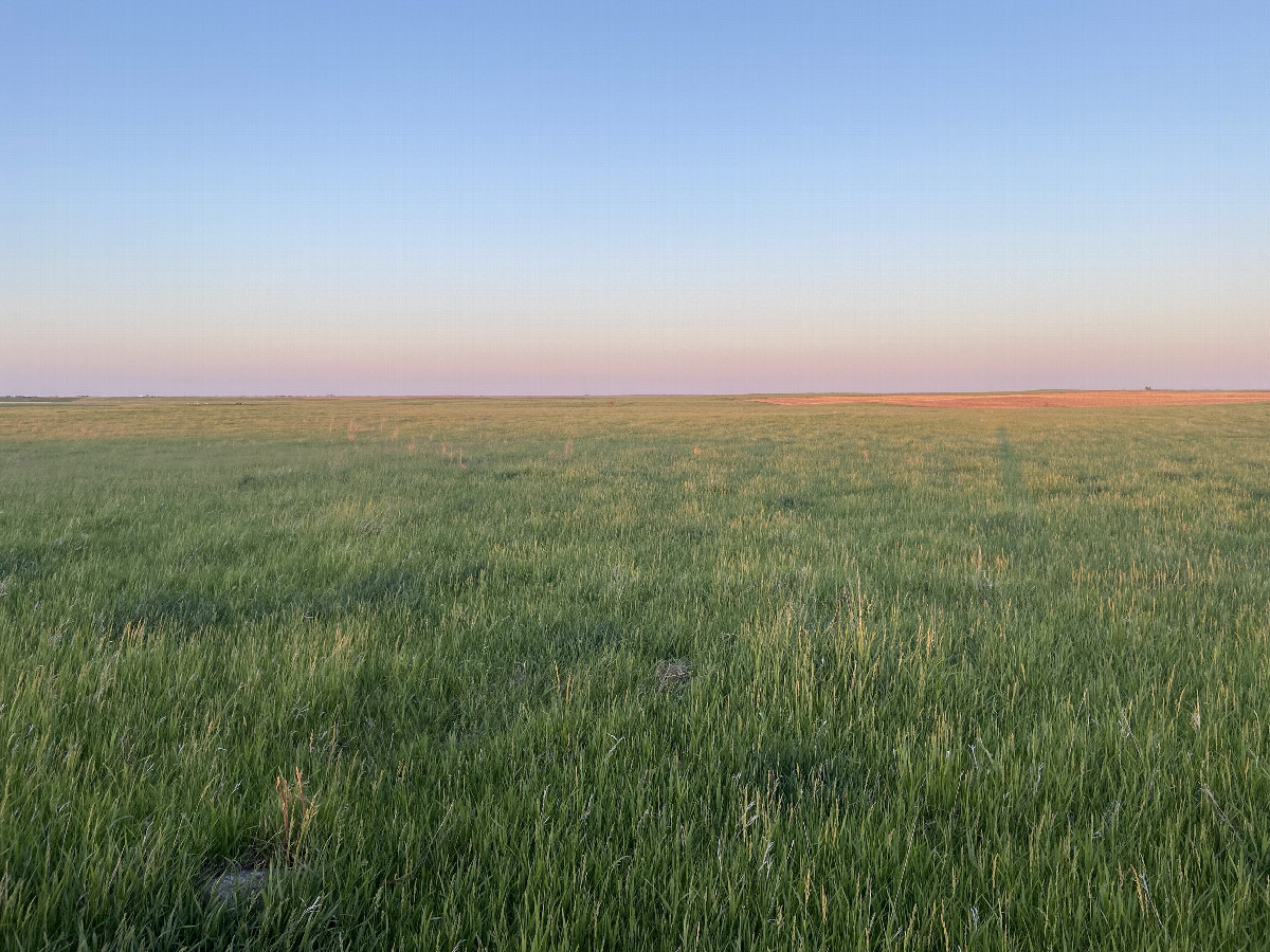 View to the east from the confluence point. 