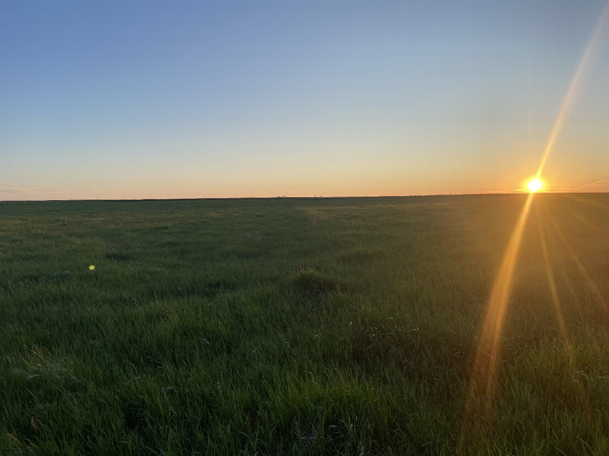 View to the west from the confluence point. 