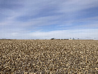 #2: Looking north from the confluence