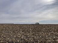 #4: Looking south, toward the road