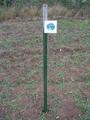 #5: The confluence marker