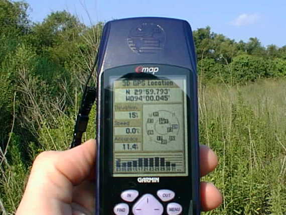 Photo of GPS display at the edge of the swamp