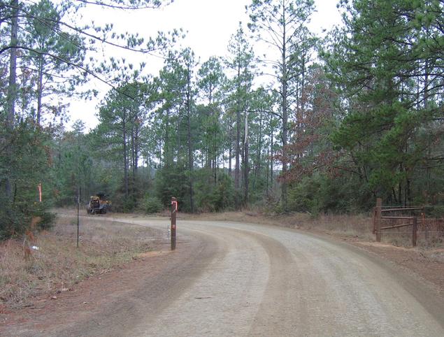 Dirt road off CR-239 leading to the confluence point