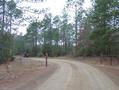 #9: Dirt road off CR-239 leading to the confluence point