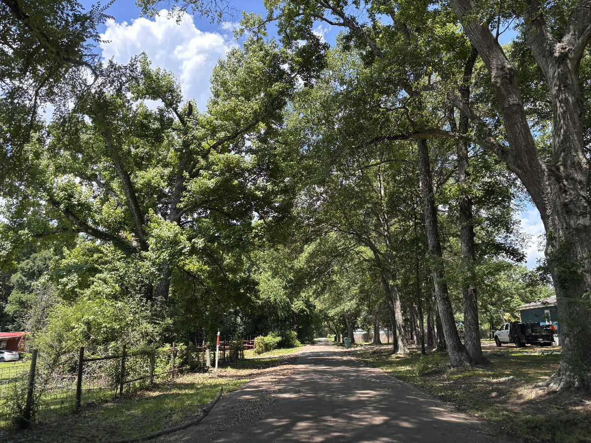 Closest road to the confluence, looking west.