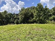 #9: The trees where the confluence lies, in the right grove in this photo.