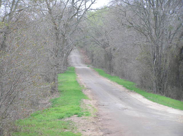A quiet and murky road--the nearest road to the confluence, looking south.