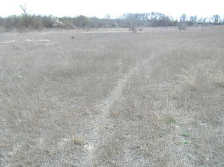 #1: The confluence of 32 North 97 West lies right on this path, in the foreground, looking south-southeast.