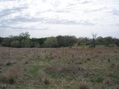 #3: West view, towards small pond