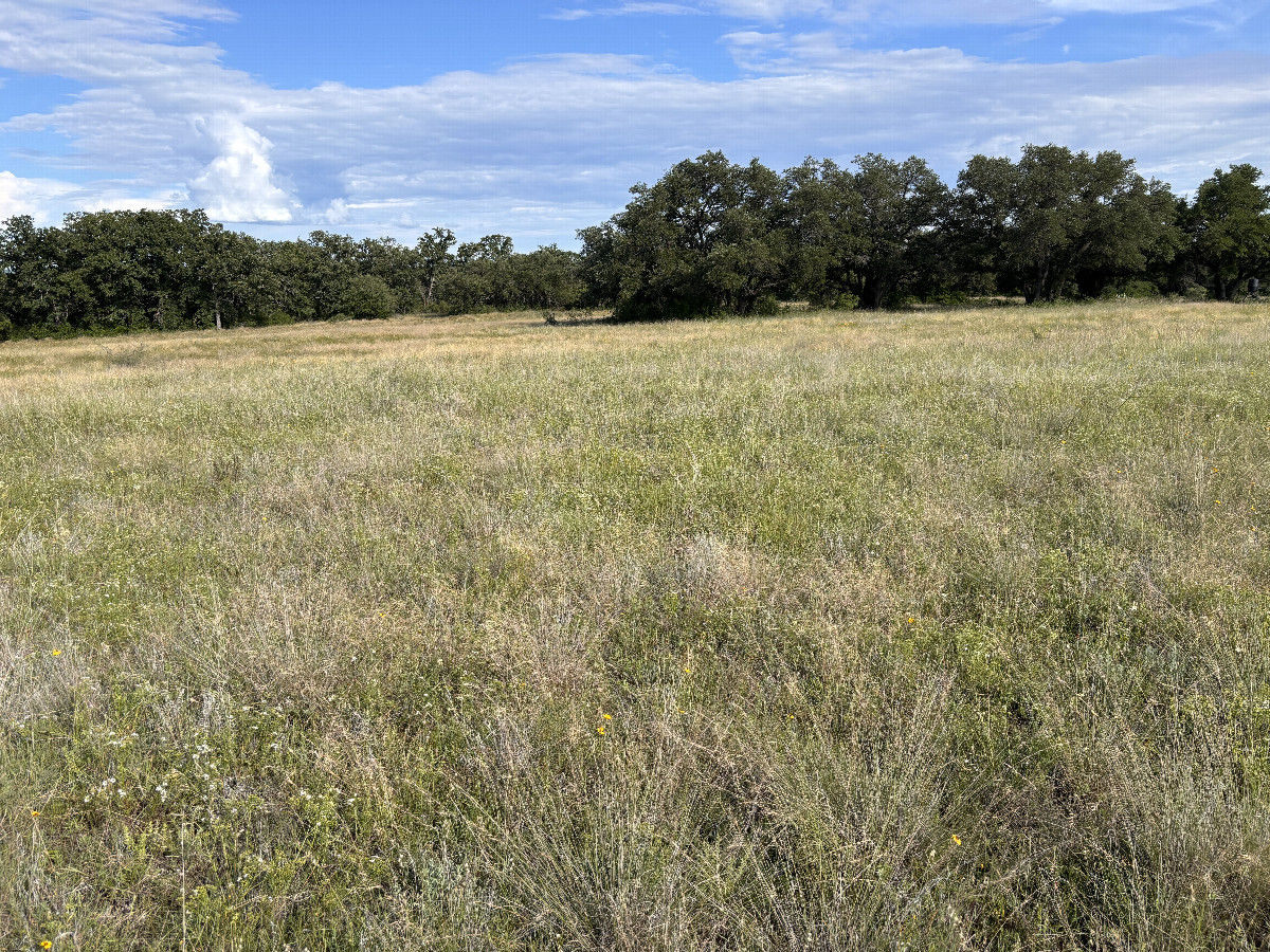 A view of the confluence in the foreground, looking southeast.