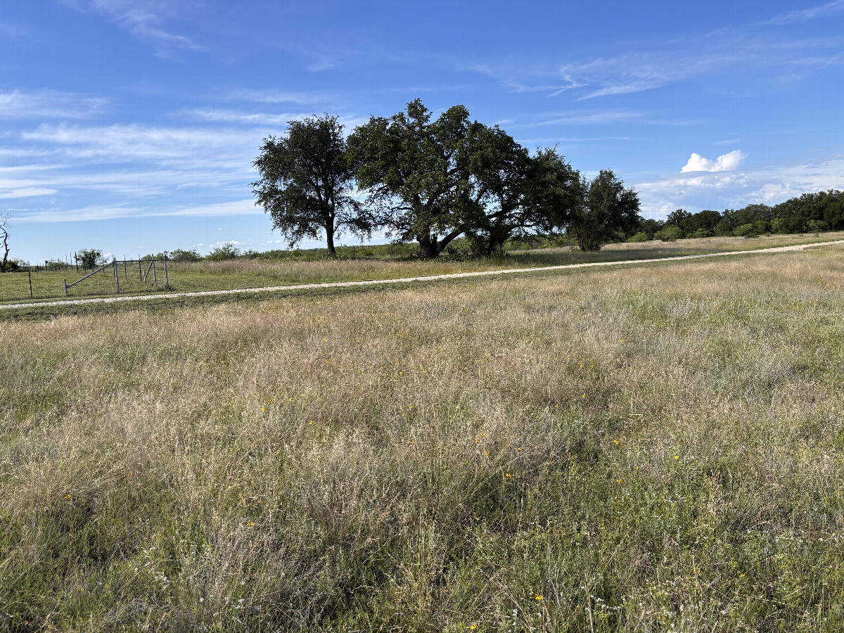 A view to the north from the confluence.