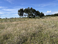 #2: A view to the north from the confluence.