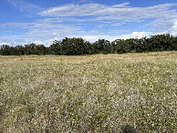 #3: A view to the east from the confluence.