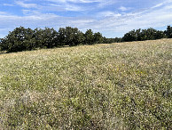 #4: A view to the south from the confluence.
