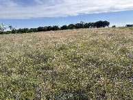 #5: A view to the west from the confluence point.