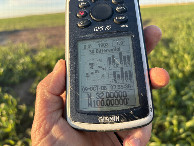 #8: GPS reading at the confluence. 