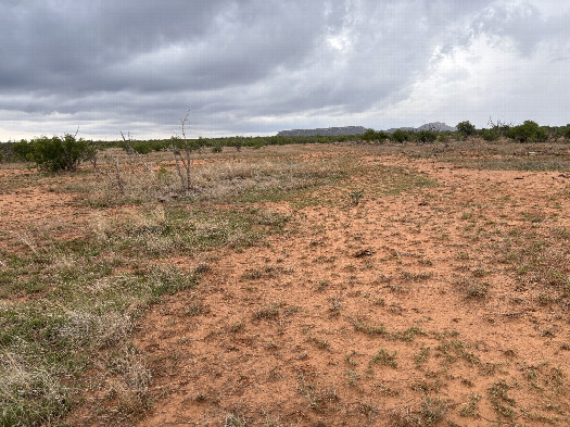 #1: The confluence lies in the foreground of this photo, looking northwest. 