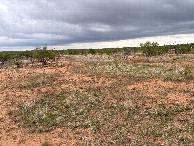 #2: A view to the north from the confluence.
