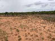 #4: A view to the south from the confluence point.