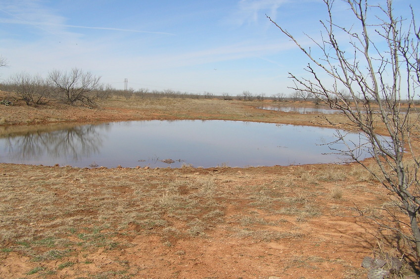 Small pond just 75 meters northwest of the confluence.