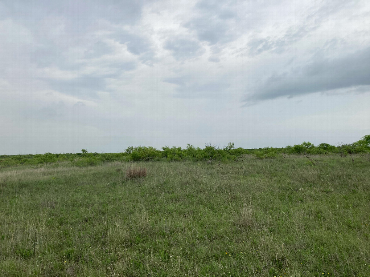 Looking north from the confluence