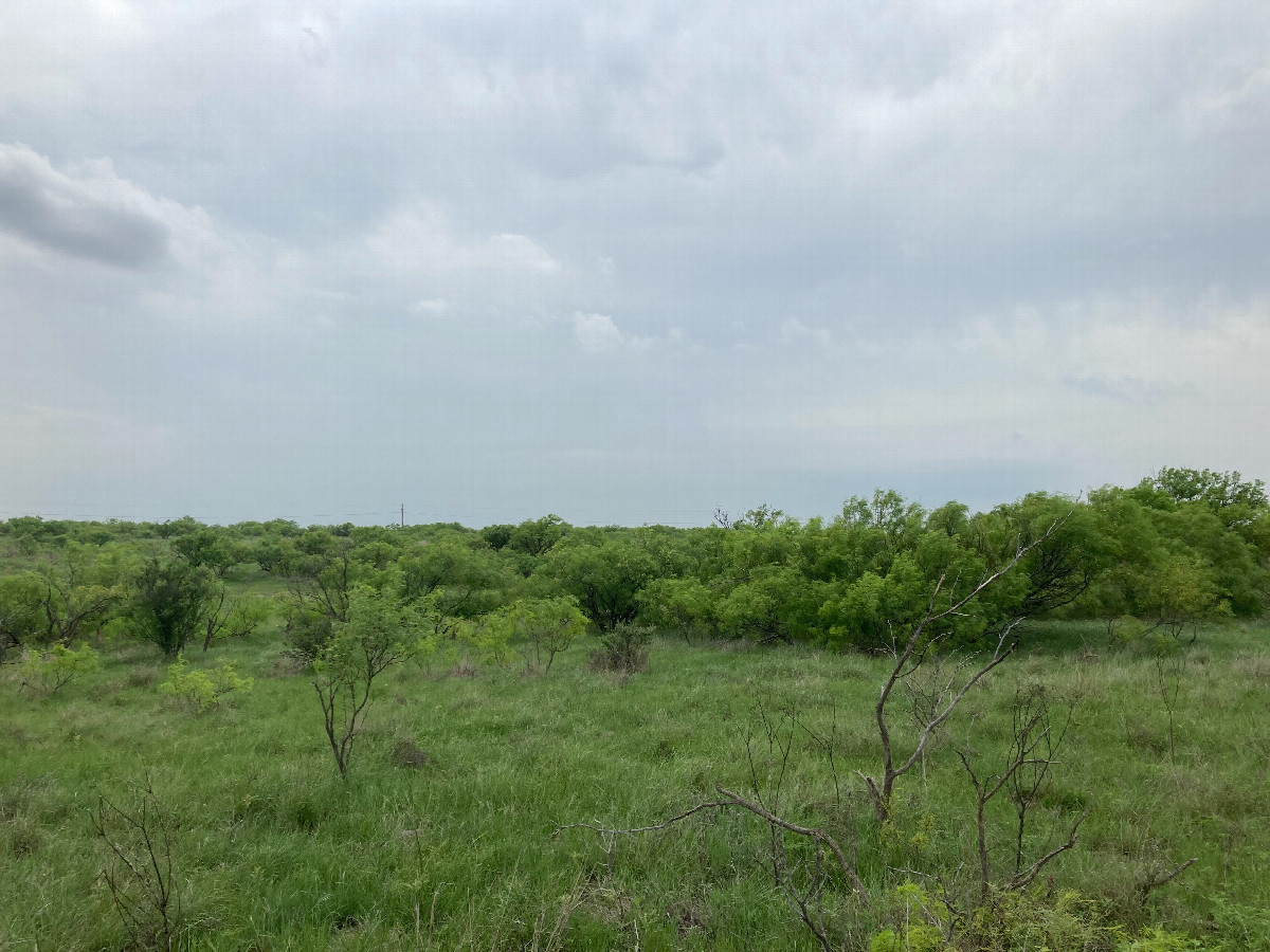 Looking west; the nearby pond is hidden behind trees