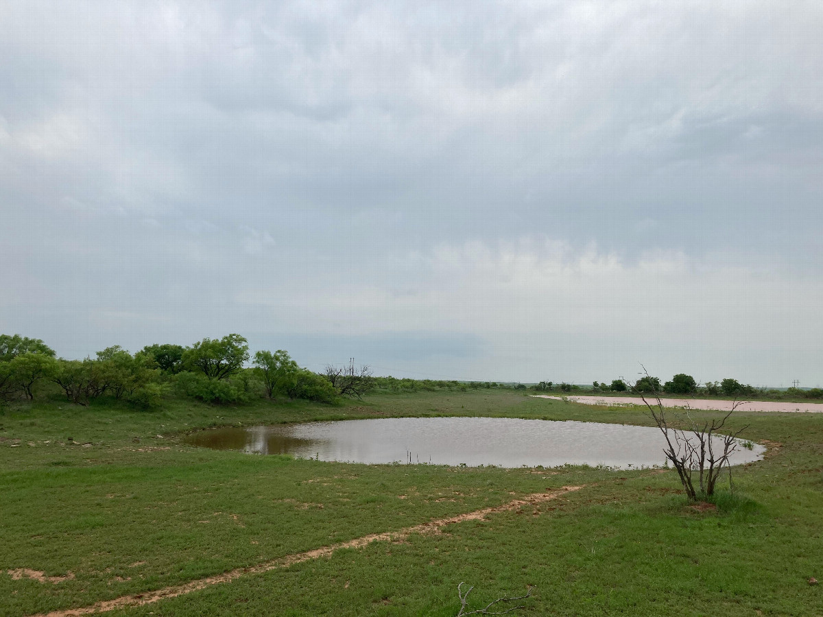 Small pond, 60 meters west of 34N 99W
