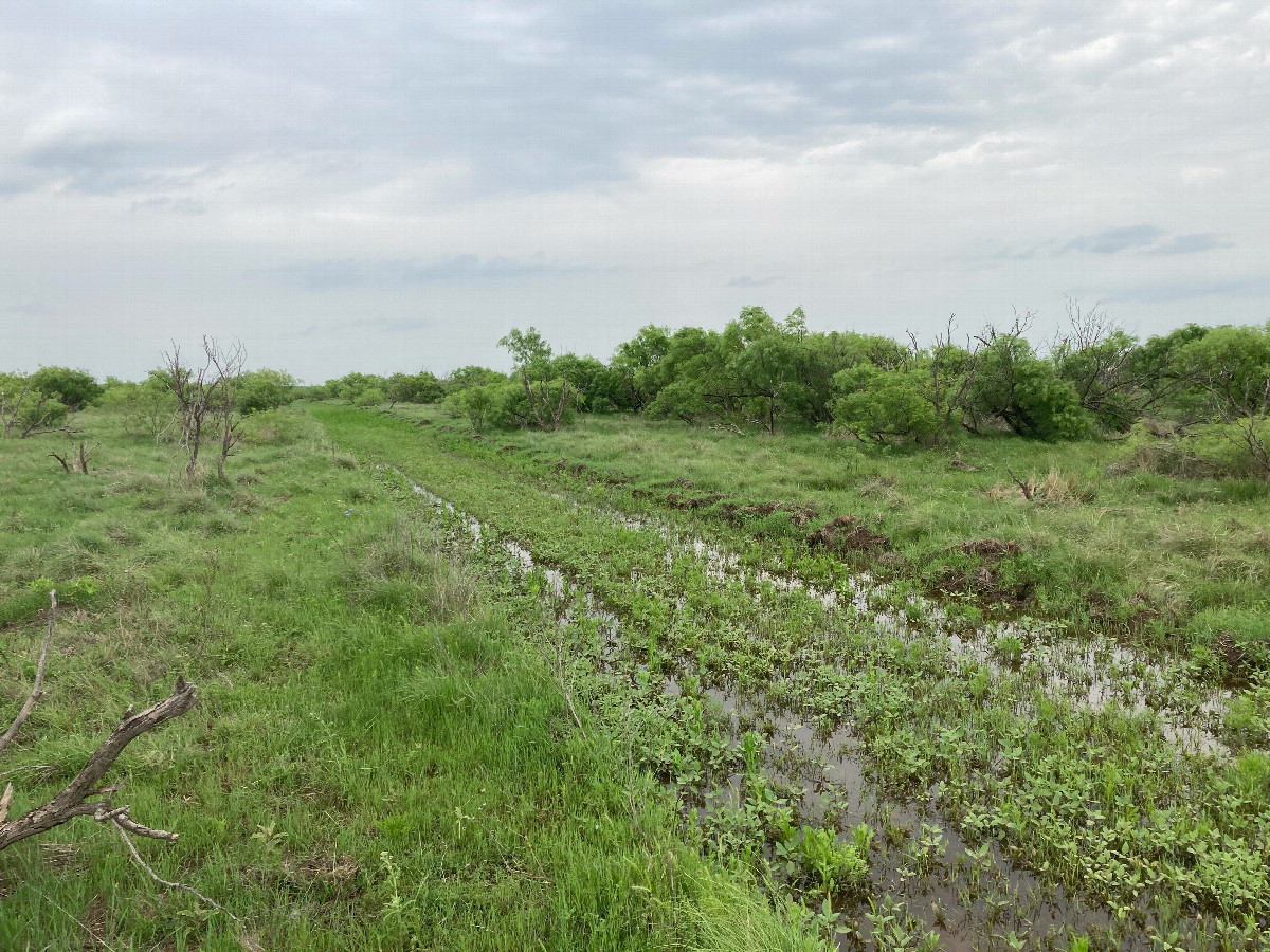 A soaked path to the confluence